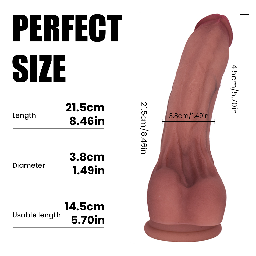 PL-MD0068 product view 2