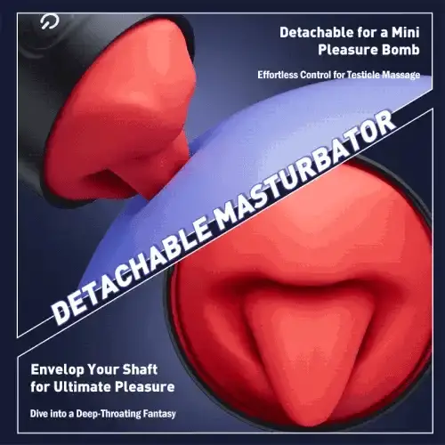 PL-MM0041 product view 4